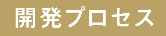 開発プロセス